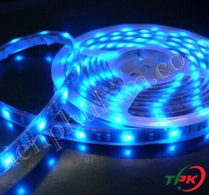 chớp led 5050 MÀU DƯƠNG
