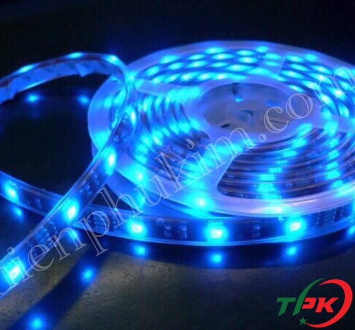 chớp led 5050 MÀU DƯƠNG